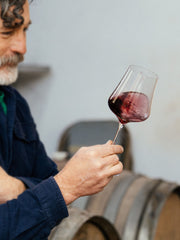 2022 Lambrusco Ancestral Magnum