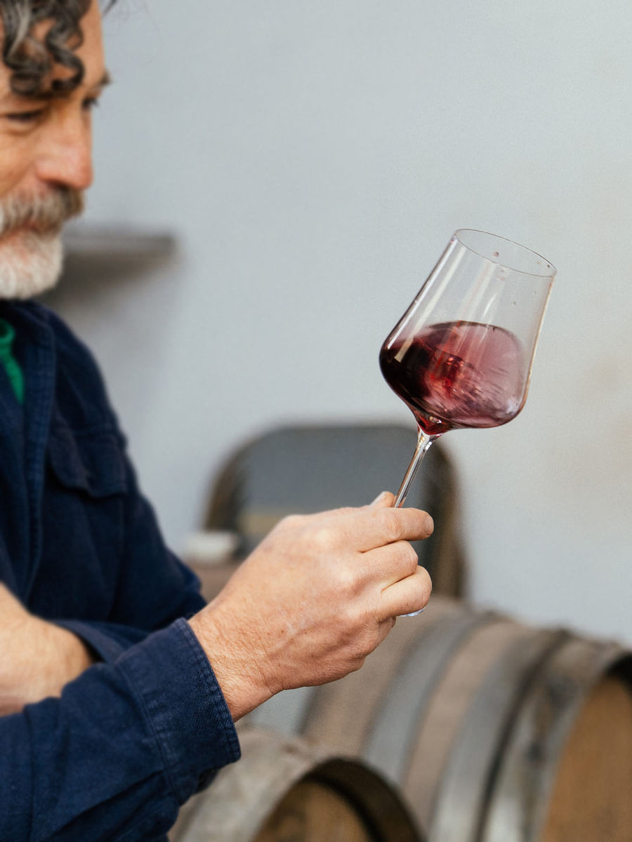 2022 Lambrusco Ancestral Magnum