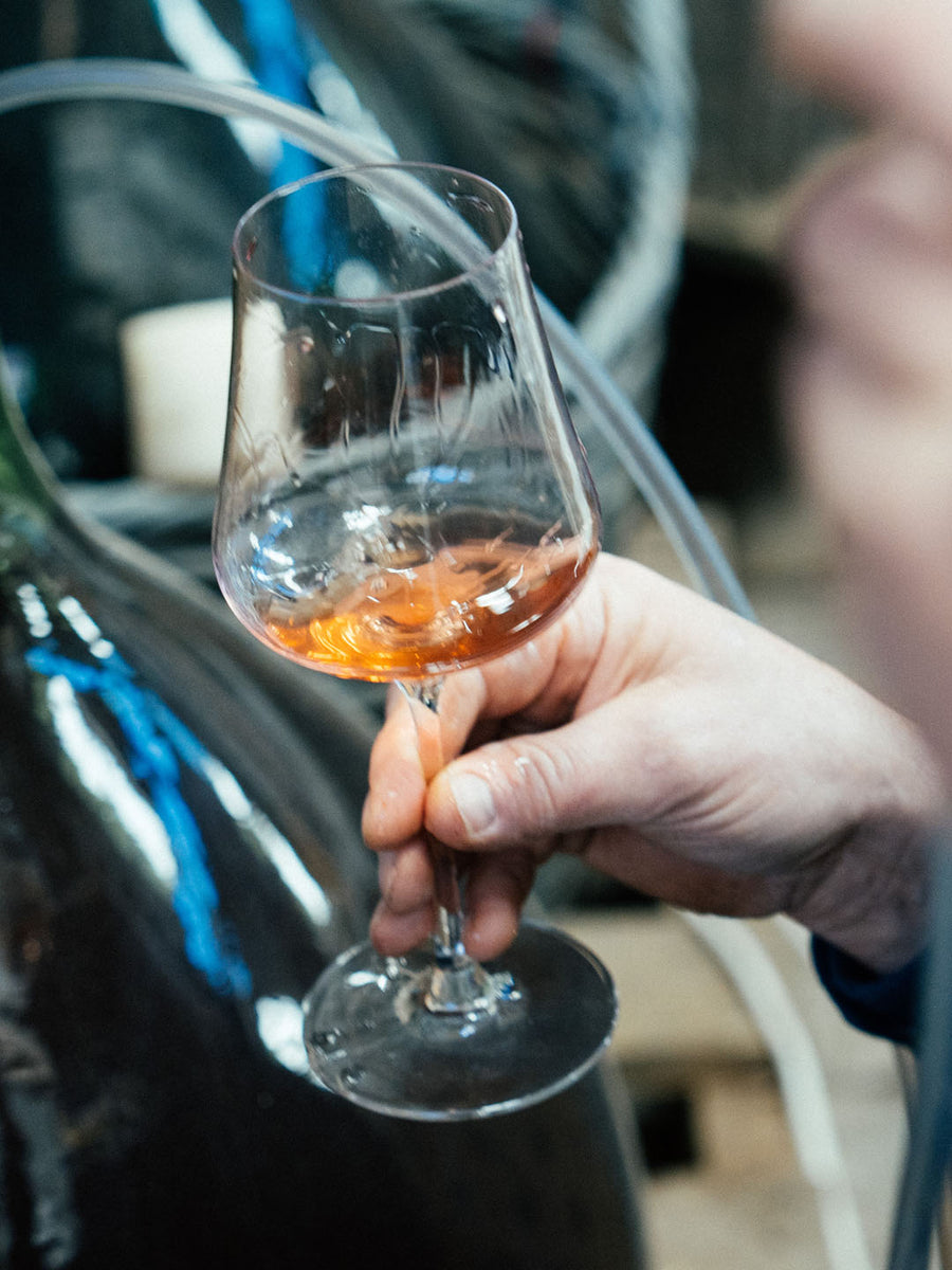2023 Pétillant Naturel Syrah Rosé